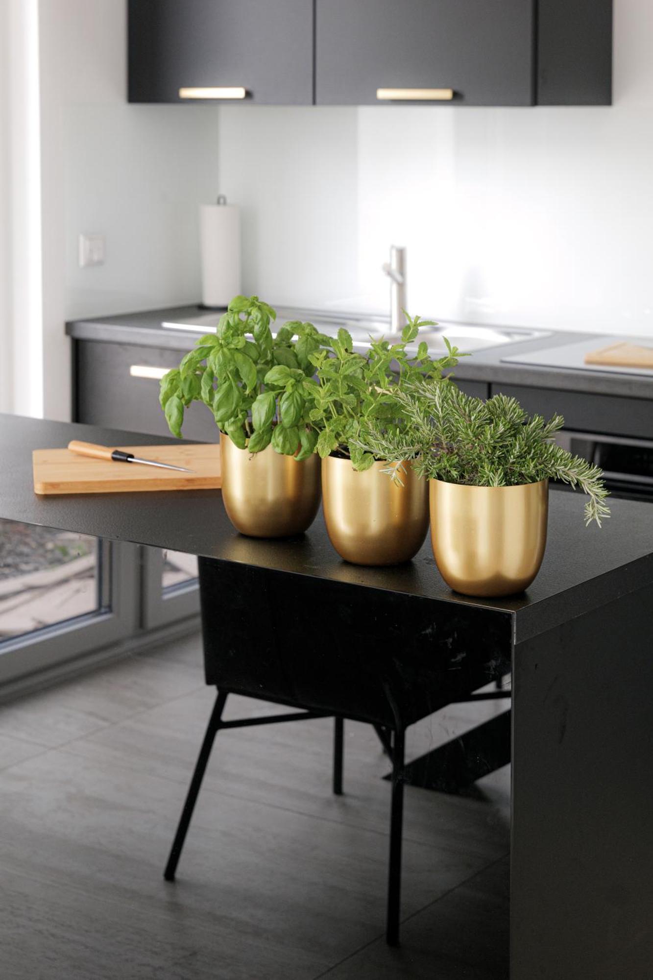 Lulex IV - Traumwohnung Terasse Garten In Нойс Экстерьер фото